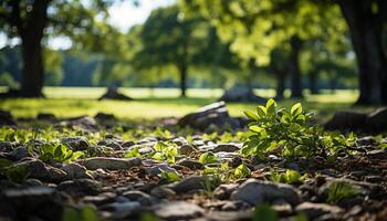 AI generated Green tree in the forest, summer growth generated by AI photo