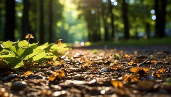 ai generado amarillo hoja que cae en otoño bosque, vibrante colores generado por ai foto