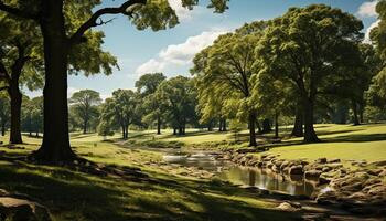 AI generated Tranquil scene of a green meadow under sunlight generated by AI photo