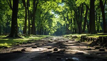 ai generado tranquilo bosque camino, luz de sol filtros mediante hojas generado por ai foto