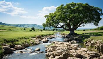 AI generated Tranquil scene, green meadow, flowing water, serene sky generated by AI photo