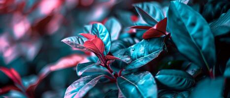 AI generated Close Up of a Plant With Red and Green Leaves photo
