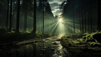 ai generado misterioso bosque, tranquilo escena, iluminado por amanecer generado por ai foto