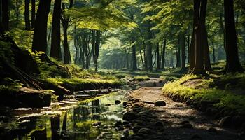 AI generated Tranquil scene of green forest, flowing water generated by AI photo