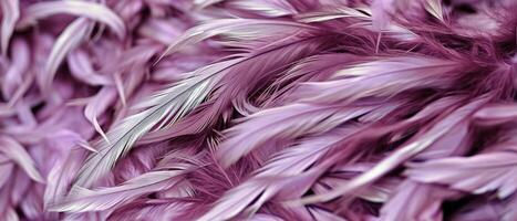 AI generated A detailed view of purple feathers photo