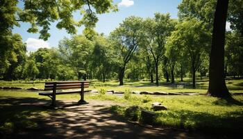 AI generated Tree in meadow, sunlight filters through green leaves generated by AI photo