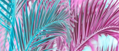 AI generated Close-up of Pink and Blue Palm Tree photo