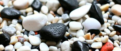 AI generated An array of smooth black and white pebbles close up photo