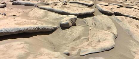 AI generated Sandy Beach Covered in Rocks photo