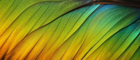 AI generated close-up intricate details of the butterfly wings photo