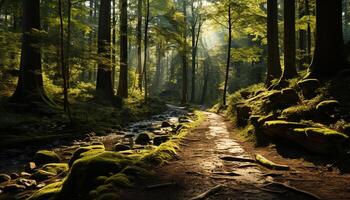 ai generado tranquilo escena de verde bosque con otoño hojas generado por ai foto