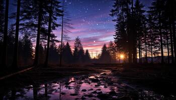 AI generated Tranquil scene of a dark forest at dusk generated by AI photo