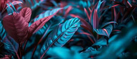 AI generated A detailed view of a plant featuring prominently red and green leaves photo