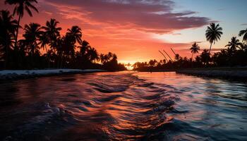 AI generated Sunset over tropical coastline, palm trees silhouette, tranquil scene generated by AI photo