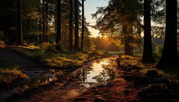 AI generated Tranquil scene of autumn forest reflects vibrant colors generated by AI photo