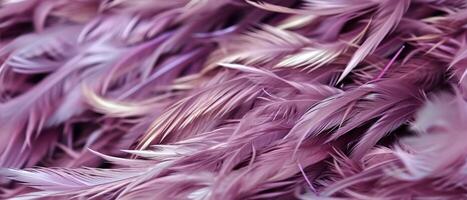 AI generated Close Up of Purple Feathers photo