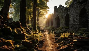 AI generated Ancient ruins in the forest, bathed in sunlight generated by AI photo