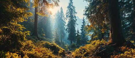 ai generado luz de sol filtros mediante el pinos en un sereno bosque camino foto