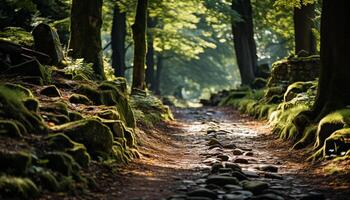 AI generated Tranquil scene of a green forest footpath generated by AI photo