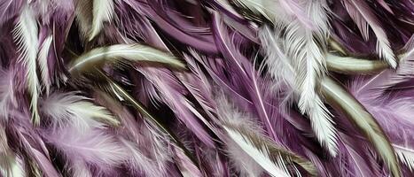 AI generated A vibrant bunch of feathers in shades of purple and white photo