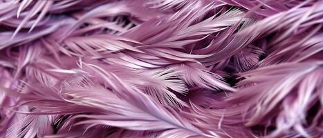 AI generated Close Up of Purple Feathers photo