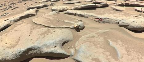 ai generado arenoso playa cubierto en rocas foto