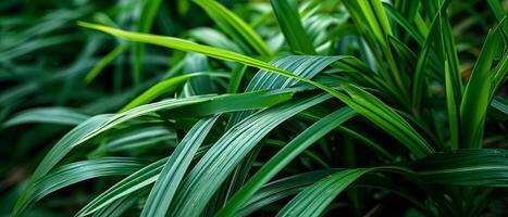 AI generated Close-up of fresh green narrow leaves, creating a textured photo