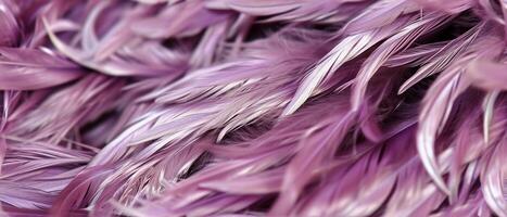 AI generated A detailed view of purple feathers photo