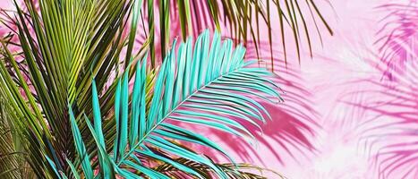 ai generado lozano tropical palma hojas con verde azulado y natural verde tonos conjunto en contra un vívido rosado antecedentes foto