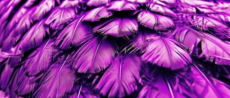 AI generated Close Up of Purple Feathers on a Purple Background photo