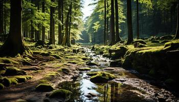 ai generado tranquilo escena de un lozano verde bosque generado por ai foto