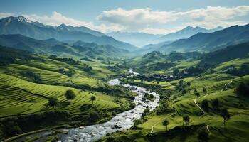 AI generated Green meadow, rice paddy, mountain range, tranquil scene generated by AI photo