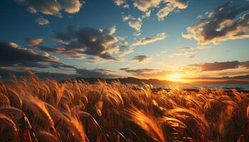 ai generado vibrante puesta de sol pinturas naturaleza belleza en rural paisaje generado por ai foto