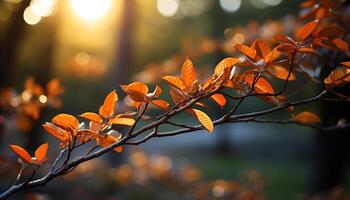 ai generado vibrante otoño árbol hojas iluminar el tranquilo bosque generado por ai foto