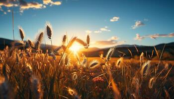 AI generated Sunset over meadow, nature beauty in golden hour generated by AI photo