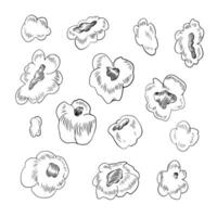 Set of black and white sketch style popcorn. Doodle art with popped corn fluffy flakes isolated on white background vector