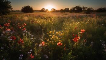 ai generado vibrante flores silvestres florecer en un prado, pintura naturaleza vistoso lona generado por ai foto