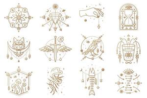 Esoteric symbols. Vector Thin line geometric badge. Outline icon for alchemy or sacred geometry. Mystic and magic design with alchemy symbols, mushrooms, snake, wildflower, hourglass, glass
