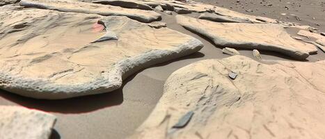 AI generated Sandy Beach Covered in Rocks photo