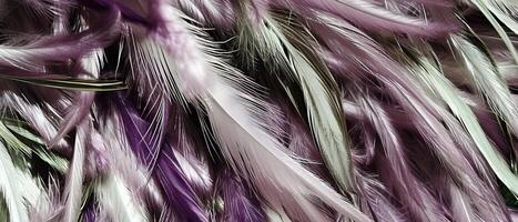 AI generated Purple and White Feathers photo