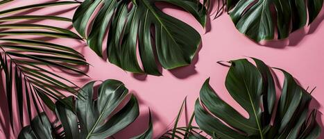 AI generated Lush monstera leaves against a vivid pink backdrop photo