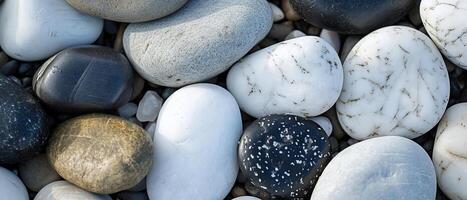 AI generated A diverse array of black and white pebbles bathed in natural sunlight photo