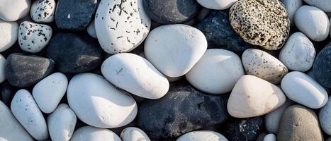 AI generated A diverse array of black and white pebbles bathed in natural sunlight photo