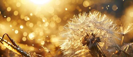 AI generated Glistening dew on dandelion seeds against a magical backdrop of golden bokeh photo
