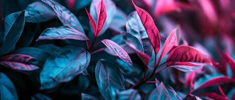 AI generated Close Up of a Plant With Red and Green Leaves photo