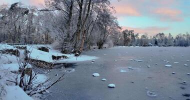 Video von ein gefroren Teich im das Morgen Licht