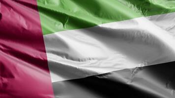 vereinigt arabisch Emirate VAE Flagge Hintergrund realistisch winken im das Wind 4k Video, zum Unabhängigkeit Tag oder Hymne perfekt Schleife video
