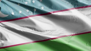 Uzbekistán bandera antecedentes realista ondulación en el viento 4k video, para independencia día o himno Perfecto lazo video