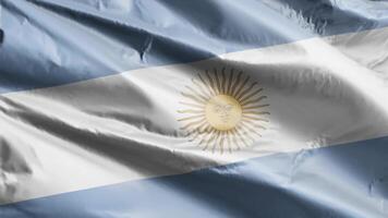 Argentina flag background realistic waving in the wind 4K video, for Independence Day or Anthem Perfect Loop video