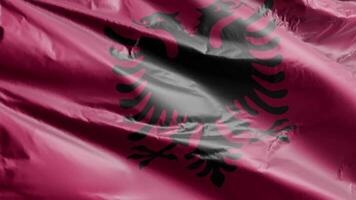 Albania bandera antecedentes realista ondulación en el viento 4k video, para independencia día o himno Perfecto lazo video